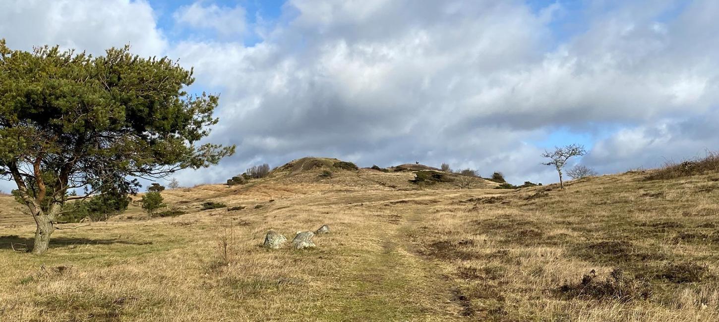 Trehøje - Mols Bjerge