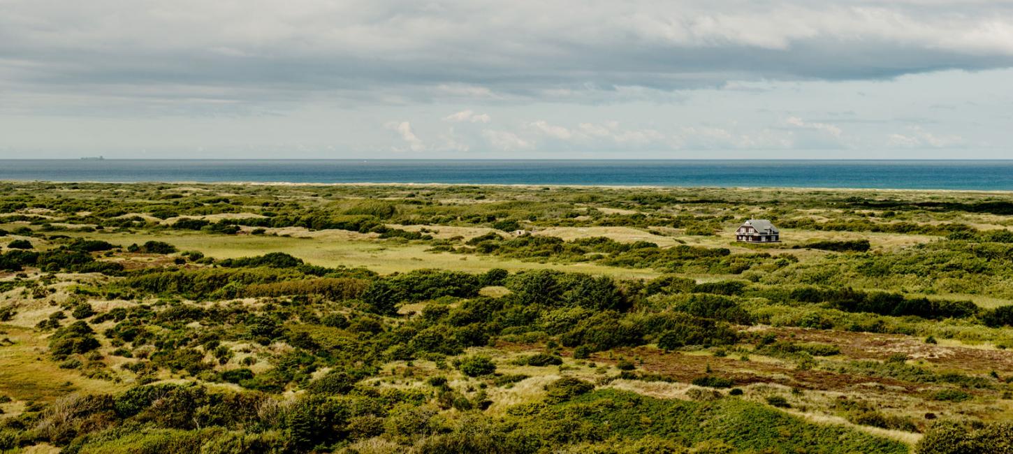 Dronefoto over klitlandskab og havet